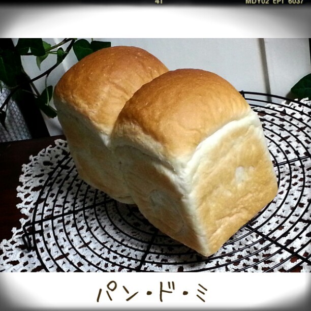 a0105740_09153769.jpg