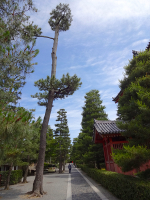 f0141840_22385046.jpg