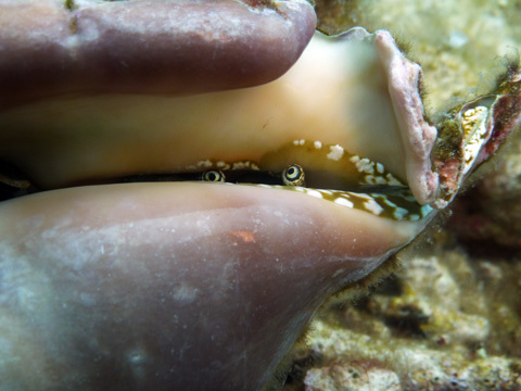 f0014842_20193278.jpg