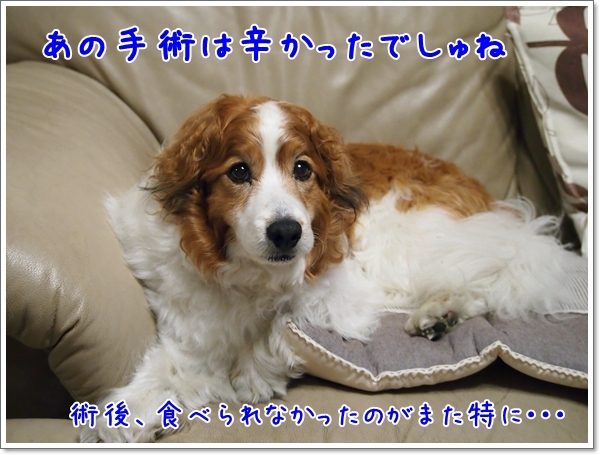 d0013149_00095675.jpg