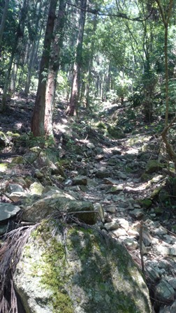 b0148050_6462532.jpg