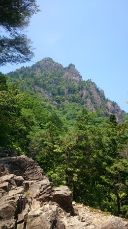 b0148050_6503295.jpg