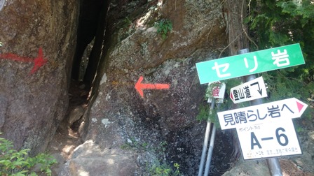 b0148050_658780.jpg
