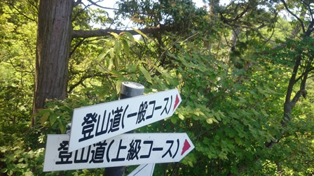 b0148050_7101755.jpg