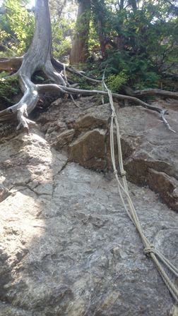 b0148050_7153242.jpg