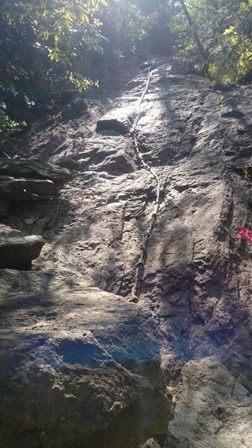 b0148050_7165674.jpg