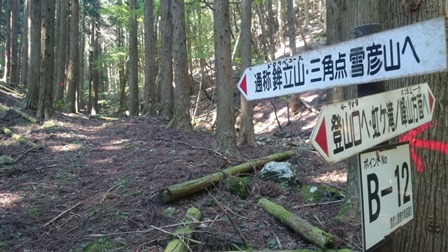 b0148050_7225345.jpg