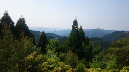 b0148050_725284.jpg