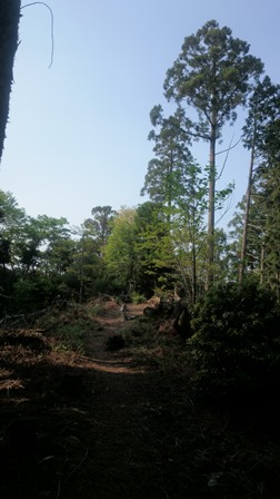 b0148050_7255369.jpg