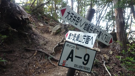 b0148050_726323.jpg