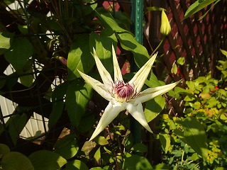 e0004756_20303455.jpg