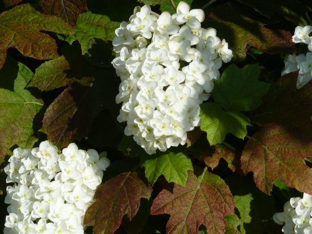 e0278968_2255313.jpg