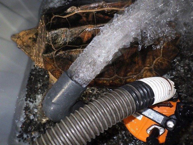 c0105569_1431648.jpg