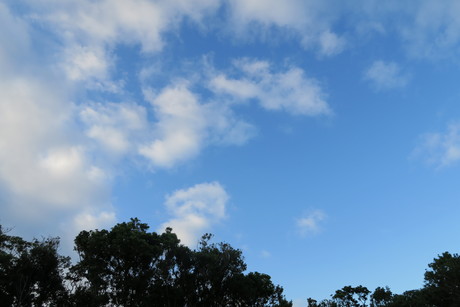 e0292172_20465825.jpg