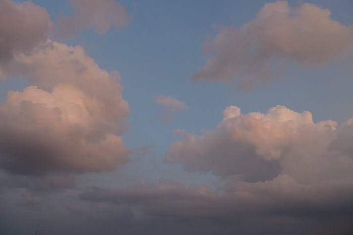 b0326576_19501882.jpg
