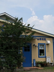 e0130185_12482998.jpg
