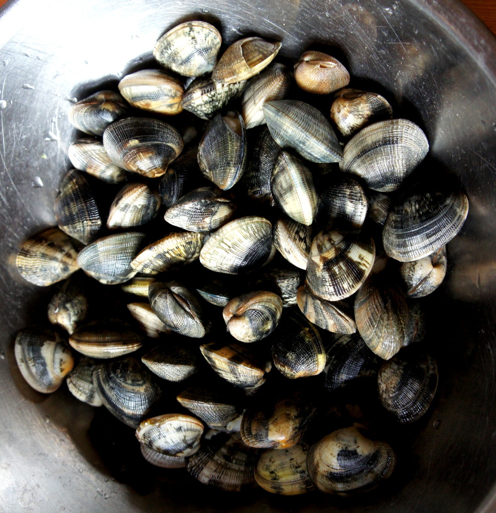 c0180686_15354277.jpg