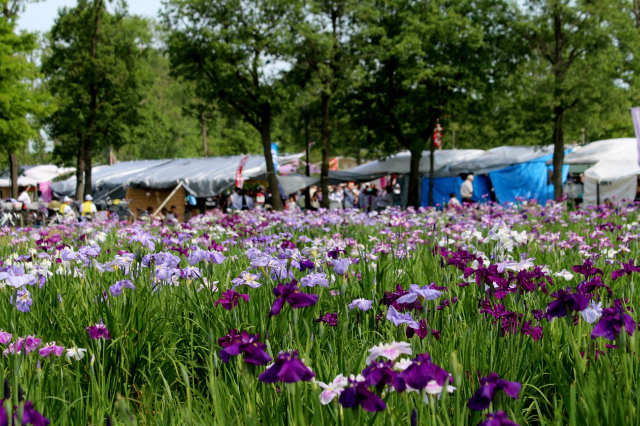 a0127090_23332569.jpg
