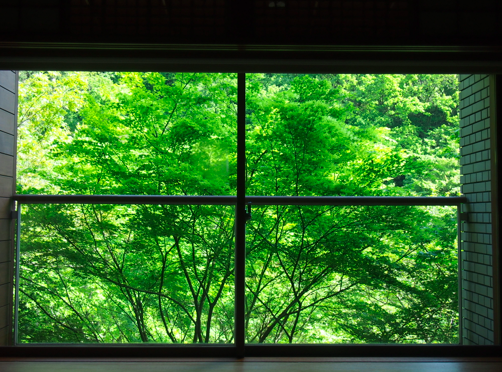 a0146493_21413734.png