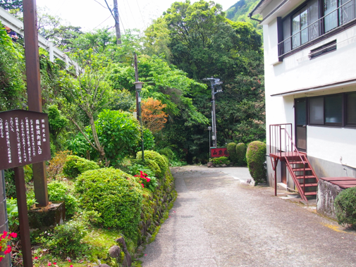 a0146493_2216280.png