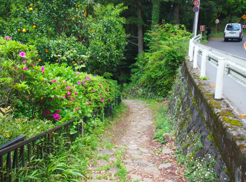 a0146493_2262133.png
