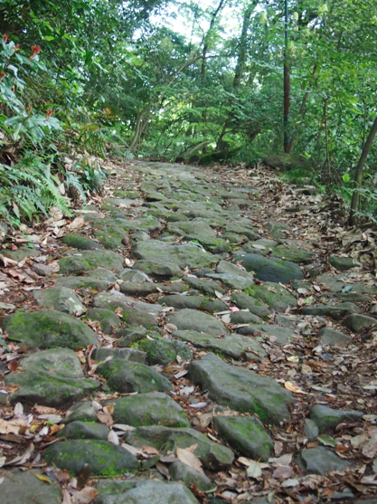 a0146493_2293239.png