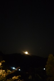 f0226293_8123473.jpg
