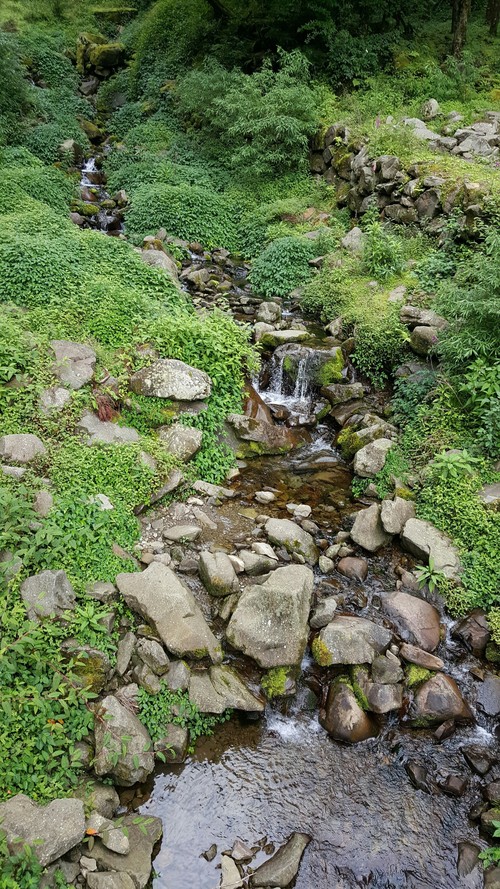 c0007194_349381.jpg