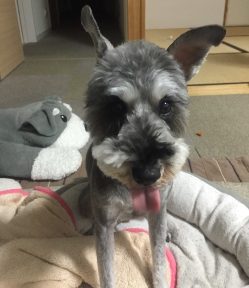 b0188998_13164679.jpeg