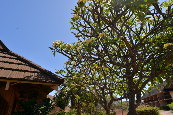 f0174198_21003851.jpg