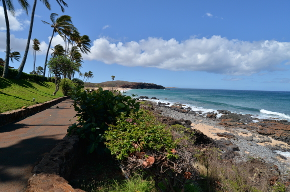 f0174198_21010169.jpg