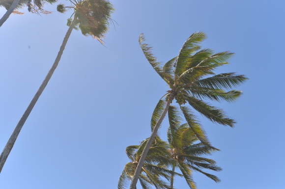 f0174198_21014200.jpg