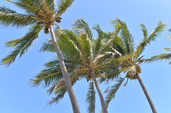 f0174198_21024075.jpg