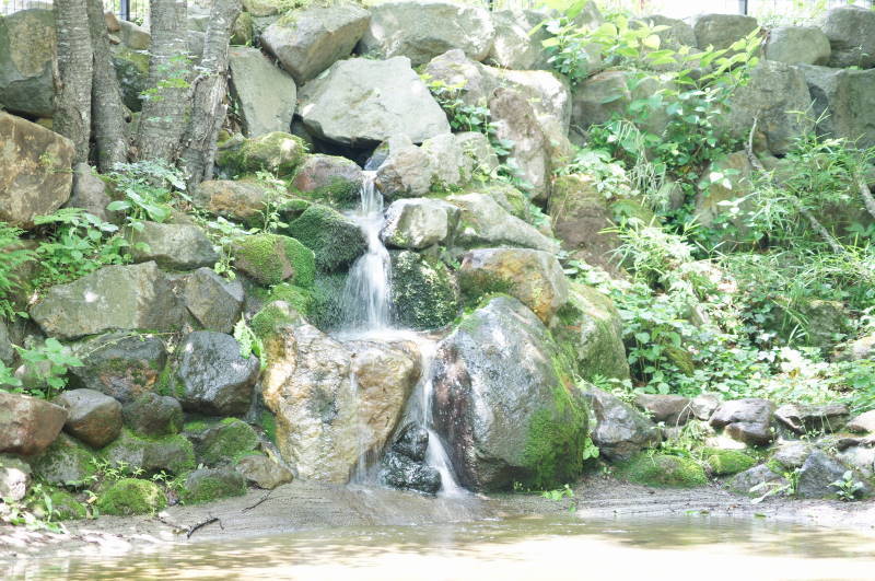 f0327308_07503612.jpg