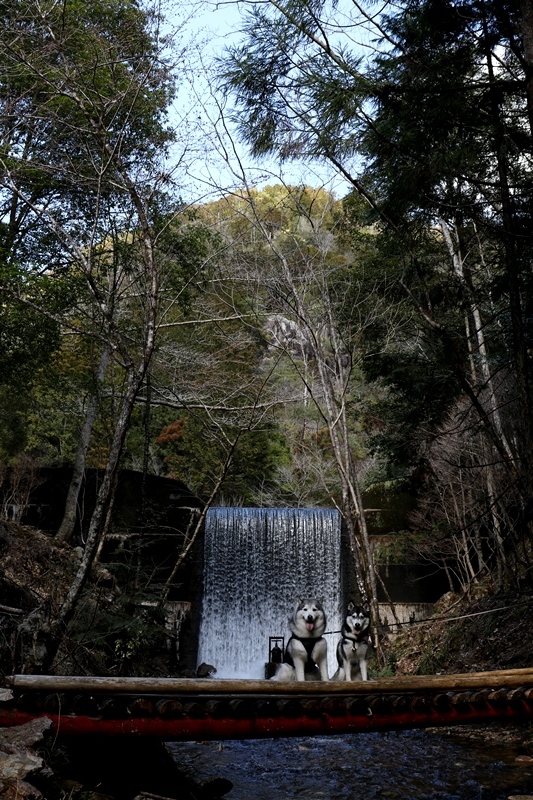 b0207615_19285490.jpg