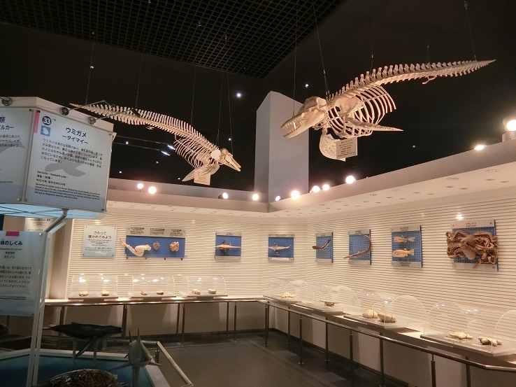 c0142326_20212353.jpg