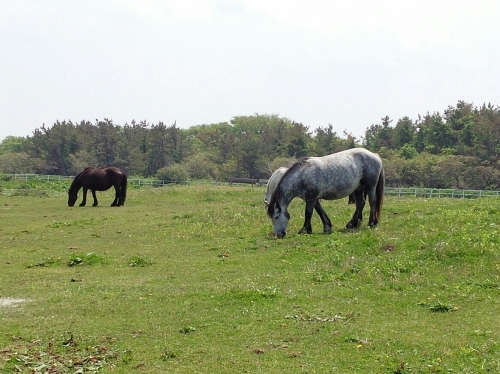 a0024829_20393502.jpg