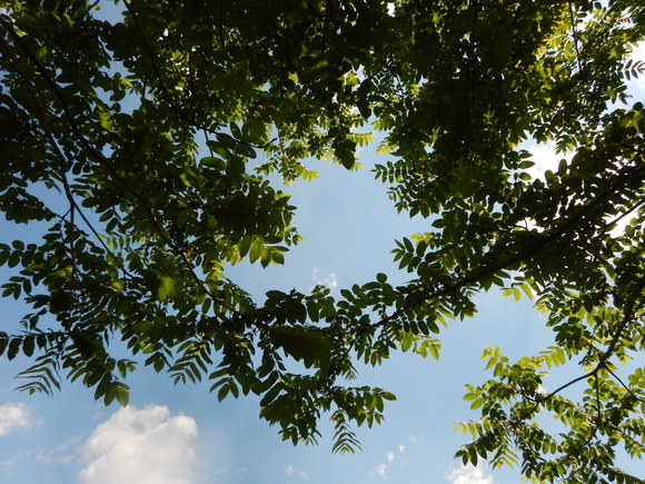 f0118332_010431.jpg