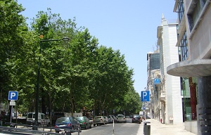 d0164636_6441666.jpg