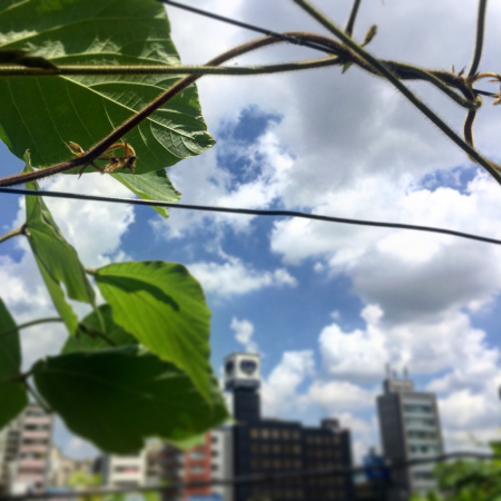 a0037043_10141419.jpg