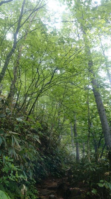 b0148050_15414596.jpg