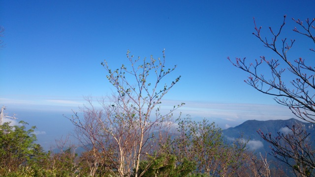b0148050_15512495.jpg