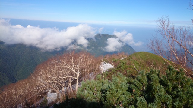 b0148050_15545556.jpg