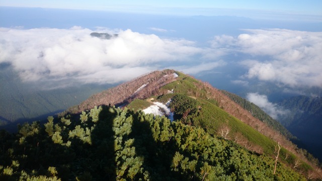 b0148050_1557263.jpg