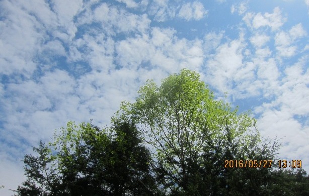 b0148050_1611379.jpg
