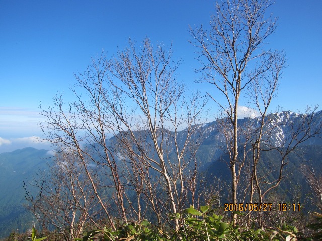 b0148050_16142422.jpg