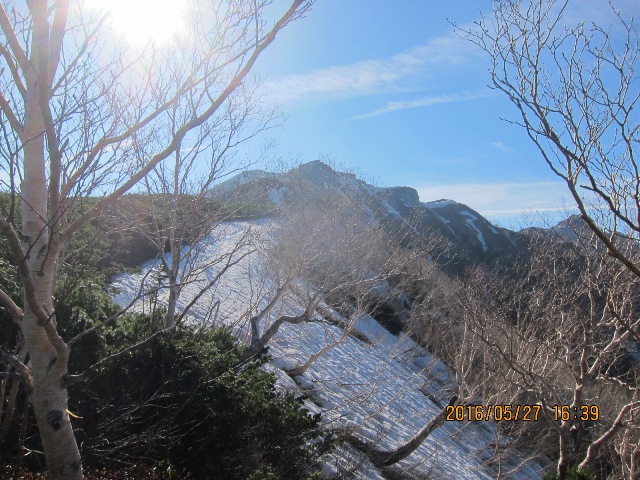 b0148050_1616743.jpg