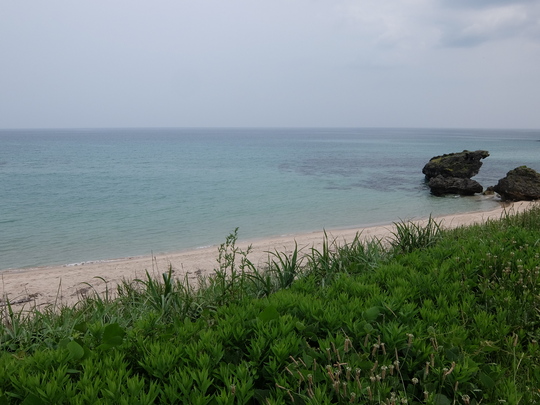 a0265582_1555598.jpg