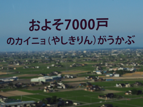 f0357183_22034478.jpg