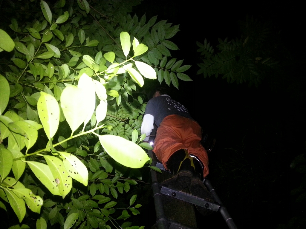 f0183484_06244962.jpg